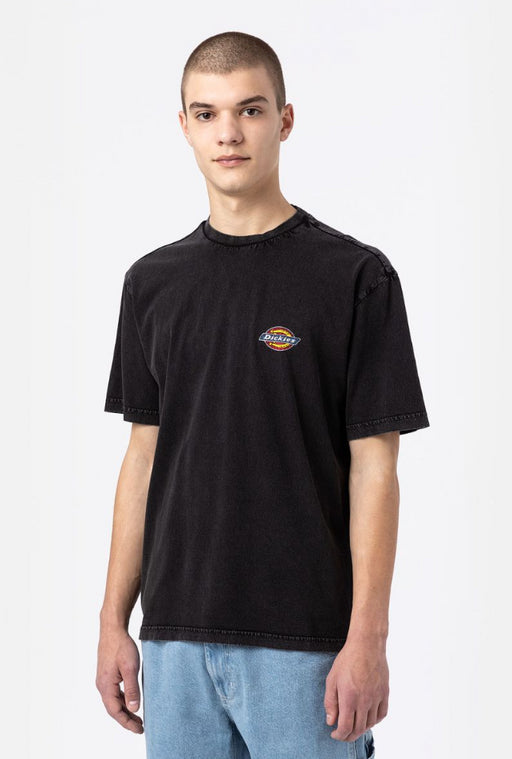 Dickies Icon Washed Tee ss