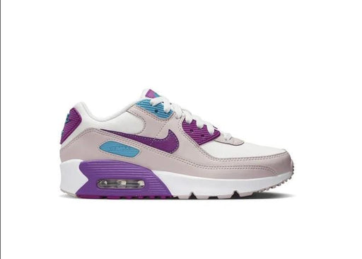 Nike Air Max 90 Ltr Big Kids' Shoes
