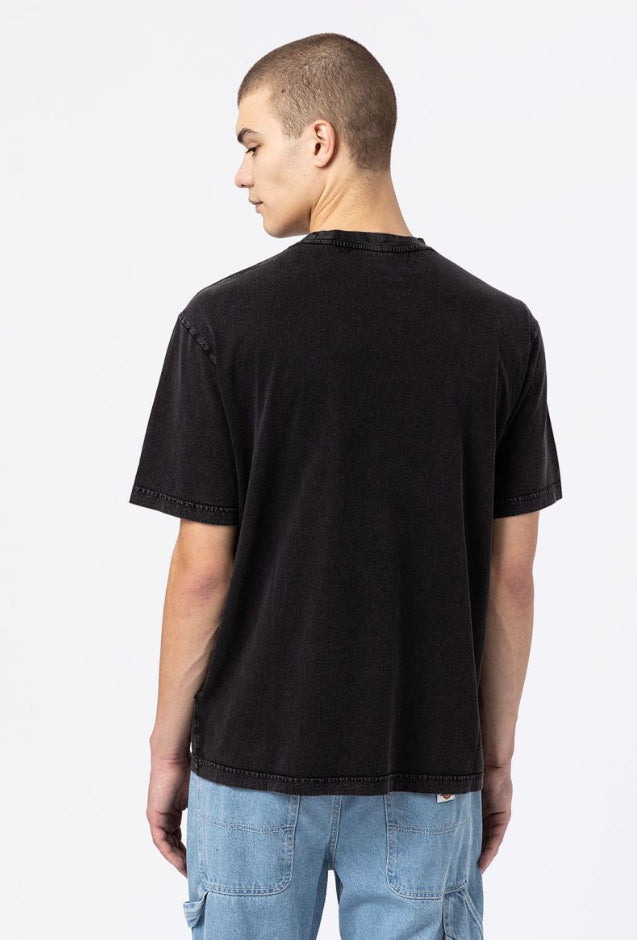 Dickies Icon Washed Tee ss