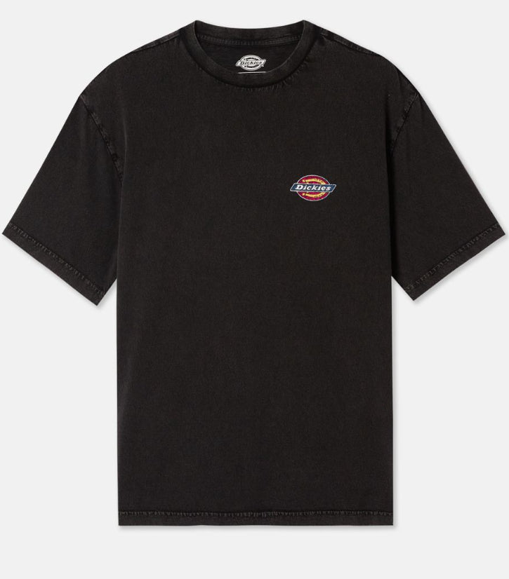 Dickies Icon Washed Tee ss