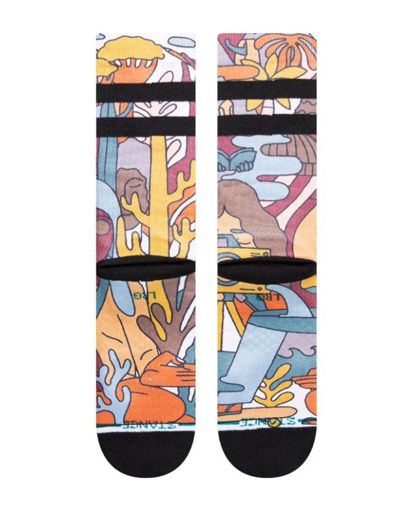 Stance Calication