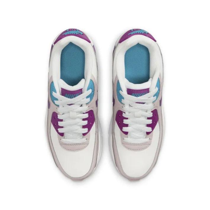 Nike Air Max 90 Ltr Big Kids' Shoes