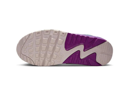 Nike Air Max 90 Ltr Big Kids' Shoes
