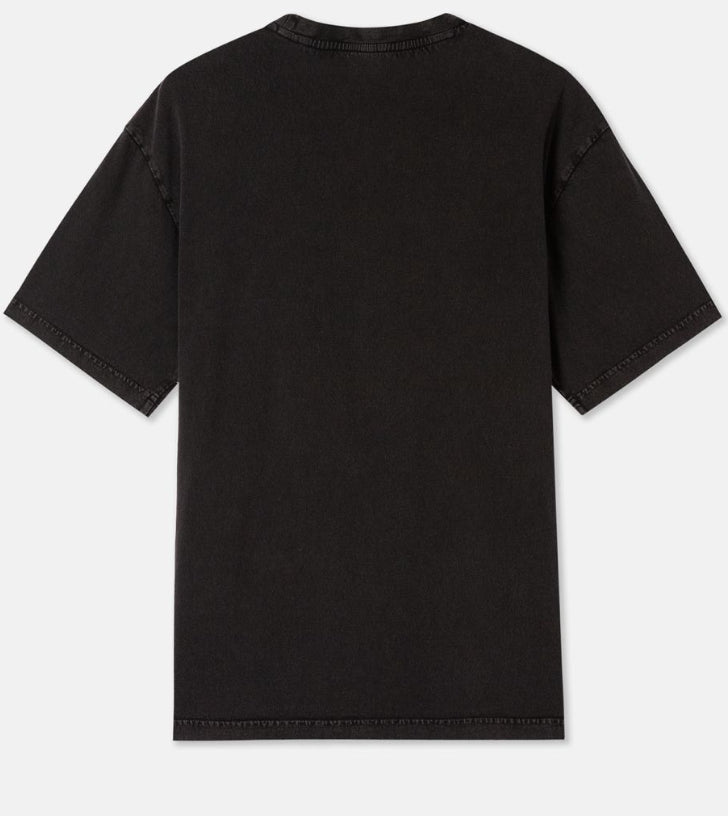Dickies Icon Washed Tee ss