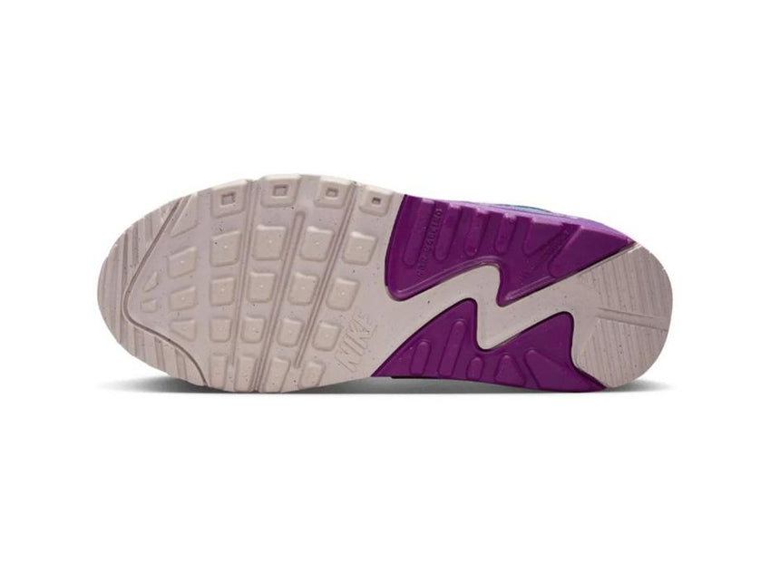 Nike Air Max 90 Ltr Big Kids' Shoes